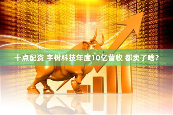 十点配资 宇树科技年度10亿营收 都卖了啥？
