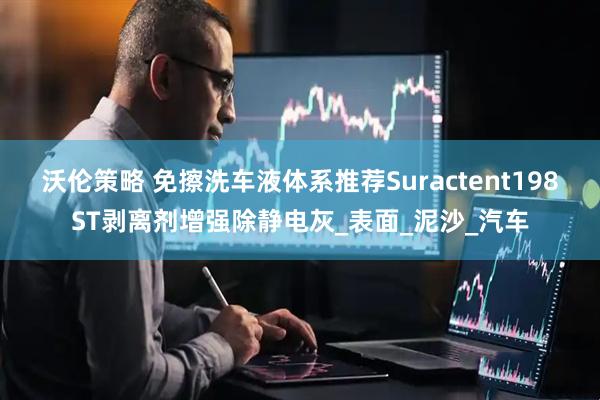 沃伦策略 免擦洗车液体系推荐Suractent198ST剥离剂增强除静电灰_表面_泥沙_汽车